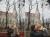 http://bigday.com.ua/blog/svadebniy-fotograf-chernovtsi/