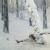 Фотограф: Мария Чопей 
Модэль и визажист: Юльчик **Вreath of Wind ** Вірстюк