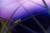 "Nightfall" Grasshopper